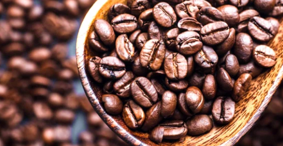 Robusta (Coffea canephora)