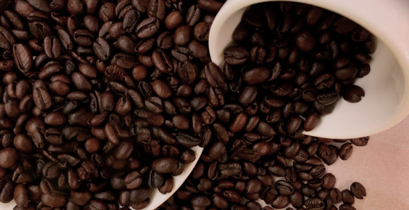 Liberica (Coffea liberica)