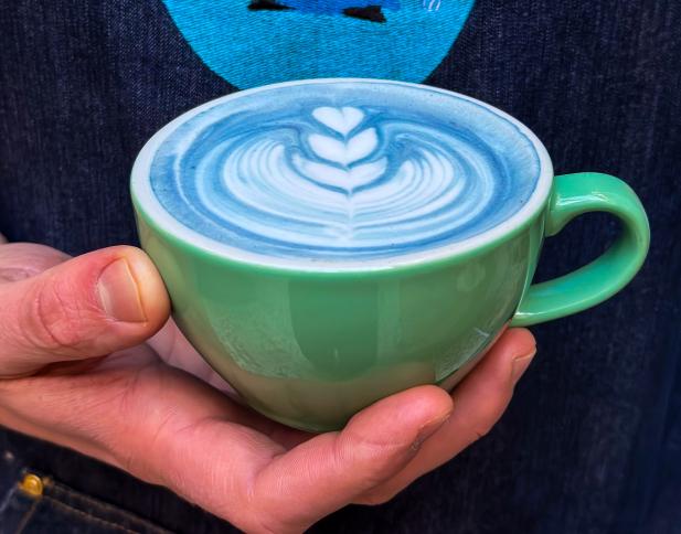 Blue Bird x Buda Lovin Pest